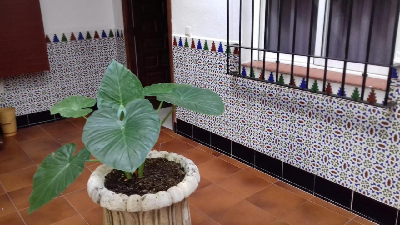 Pompeyos Viviendas Vacacionales Córdoba Eksteriør billede